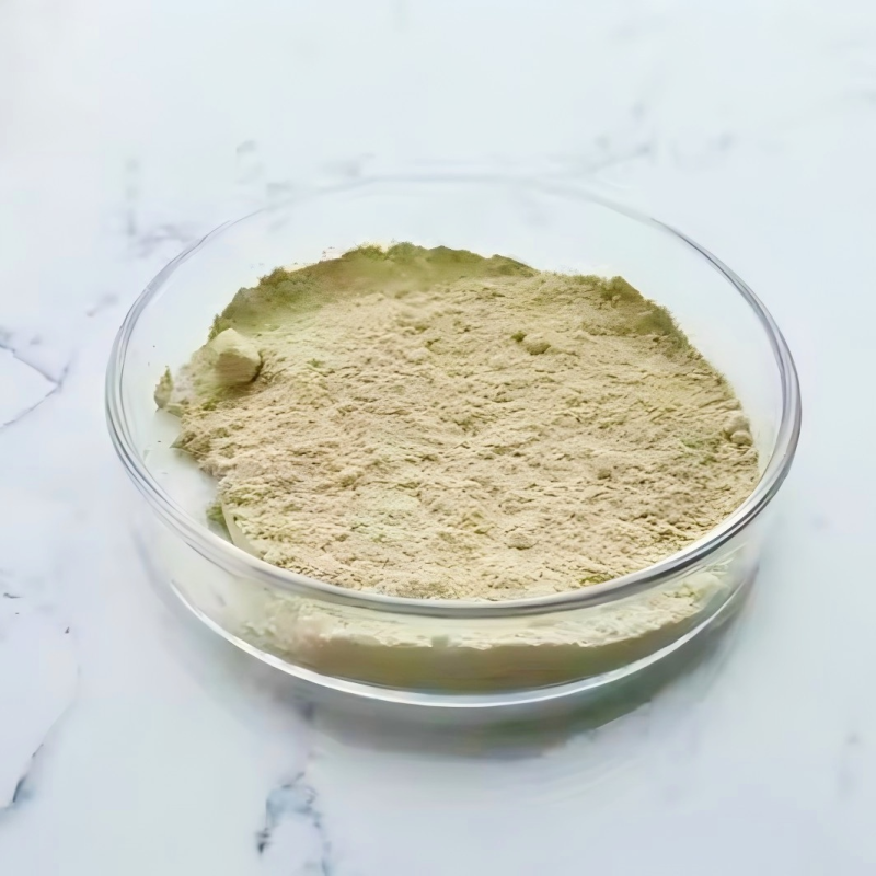 High purity Urolithin B powder for muscle support