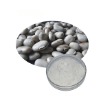 L-DOPA (Levodopa) polvere con COA