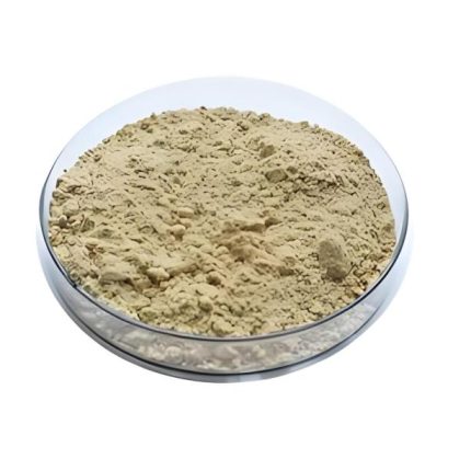 Polvere di Nattokinase sfusa con COA verificato