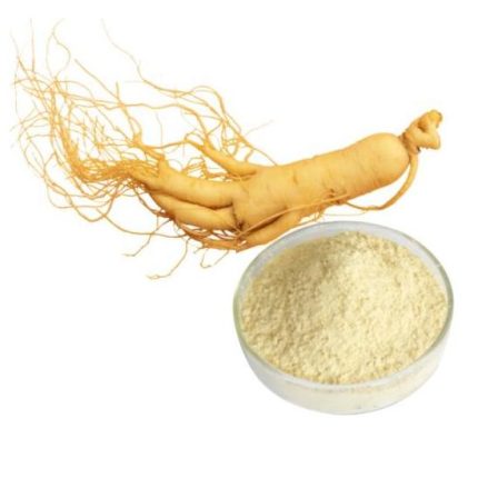 Estratto di Panax Ginseng in polvere in una ciotola di vetro, integratore a base di erbe di alta qualità
