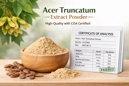 Порошок экстракта Acer Truncatum с сертификатом подлинности COA, растительное сырье представлено натуральными семенами и сертификатом анализа