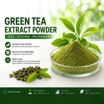 Green Tea Extract Powder EGCG Catechins Polyphenols Bulk Supplier