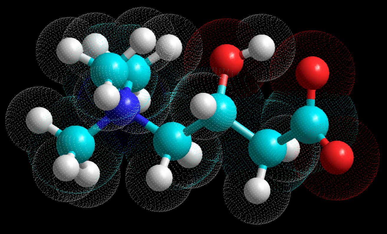 L-Aspartic Acid